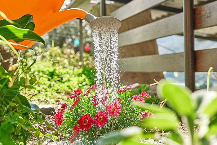 نحوه تصفیه آب برای گیاهان باغ