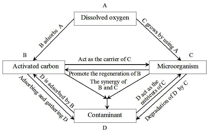 بازسازی کربن فعال به روش بیولوژیکی